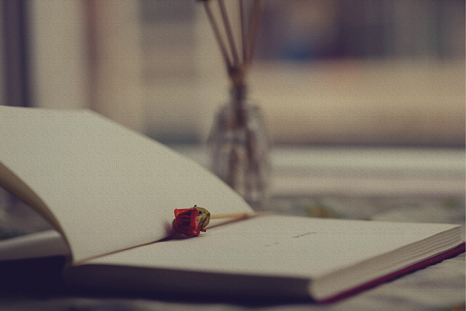 本科毕业论文盲审是什么意思