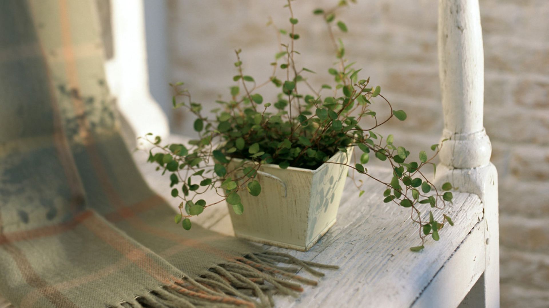 大学生论文查重用什么论文检测系统好