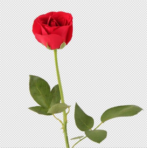 查重系统哪个比较好？