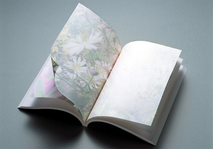 论文查重结果为什么每次不一样？