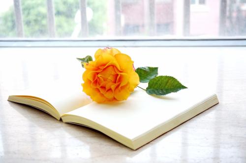 英语论文“修改”与“编辑”的区别